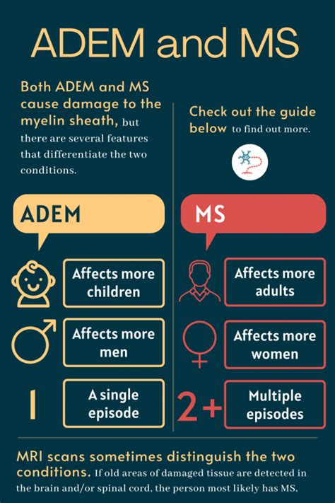 Ms vs m.ed - Summary. Multiple sclerosis (MS) and fibromyalgia both involve the nervous system and cause chronic symptoms, such as pain and fatigue. However, there are key differences. MS is a neurological ...